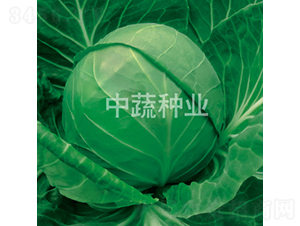 YR�и�21-��������-������ҵ