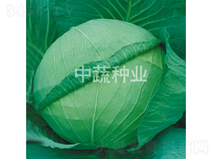 �и�19��-��������-������ҵ