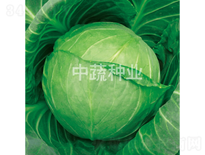 �и�27-��������-������ҵ