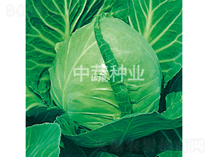 �и�17-��������-������ҵ