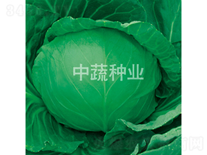 �и�23-��������-������ҵ