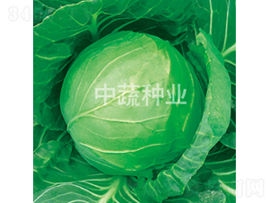�и�28-��������-������ҵ