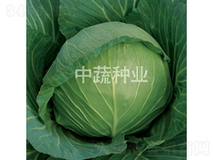�и�96-��������-������ҵ
