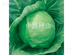 �и�301-��������-������ҵ