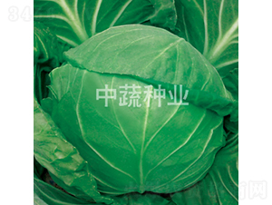 �и�628-��������-������ҵ
