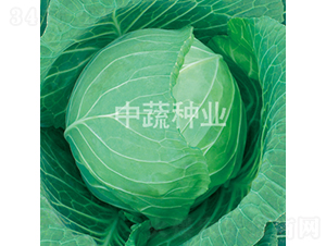 �и�596-��������-������ҵ