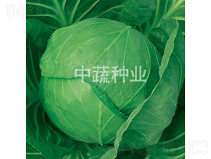 �и�828-��������-������ҵ