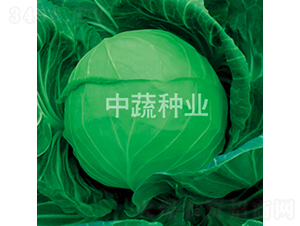 �и�192-��������-������ҵ