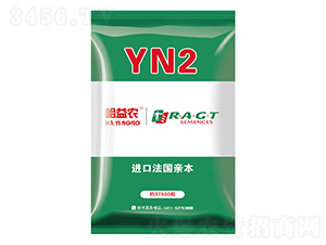 YN2-��������-��ũ��ҵ