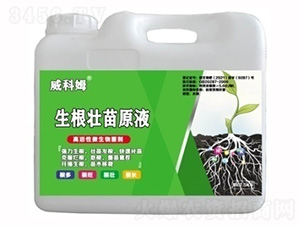 ����׳��ԭҺ-¡֮��