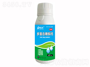 �������Ǵ���-¡֮��