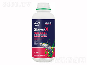 ��������㵰�׺�������ˮ�ܷ���-�ջ�ũ��