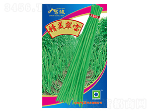 �����䱦-��������-�������ҵ