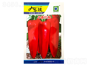 �紺�콷-��������-�������ҵ