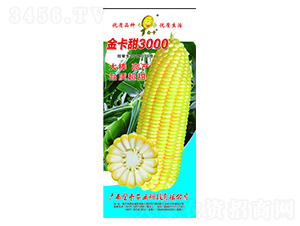 ����3000-��������-��ũҵ