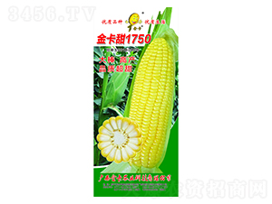 ����1750-��������-��ũҵ
