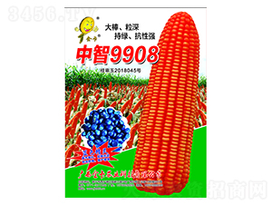 ����9908-��������-��ũҵ