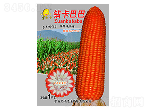 �꿨�Ͱ�-��������-��ũҵ