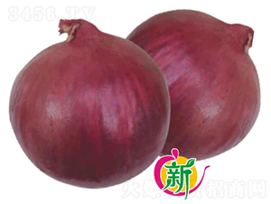 ����818���-�������-����