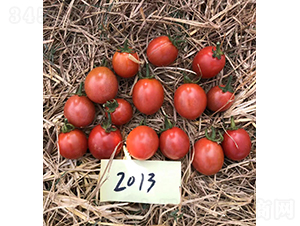�����2013-��������-����
