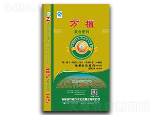 ��ֲ2���л����ﳤЧ�͸��Ϸ���19-15-6-��ֲ