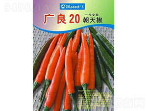 ����20���콷-��������-����