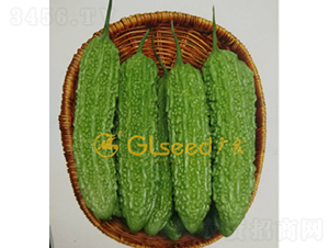 �齭���-�������-����