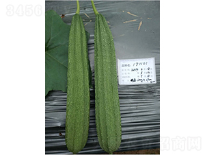 ����1101����˿��-˿������-����