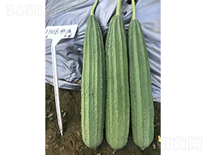 ����1108����˿��-˿������-����