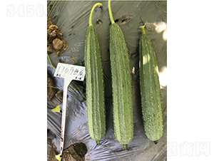 ����1109����˿��-˿������-����
