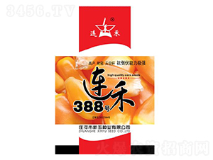 ����388��-��������-������ҵ
