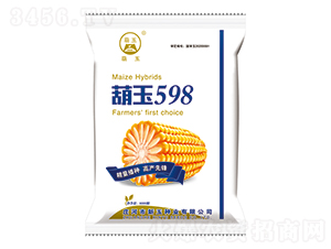 ����598-��������-������ҵ