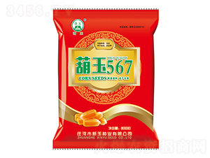 ����567-��������-������ҵ