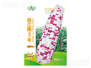 Ǯ��Ŵ3����������-��¹��ҵ