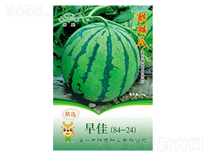 ��ѣ�84-24����������-��¹��ҵ