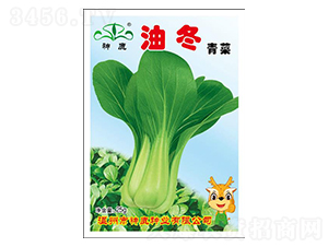 �Ͷ�-�๣������-��¹��ҵ
