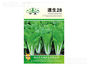 ����28�������-��¹��ҵ