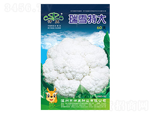 ��ѩ�ش�60��-��Ҭ������-��¹��ҵ