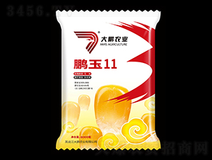 ����11-��������-����ũҵ