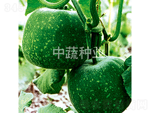 һ����4��-��������-������ҵ