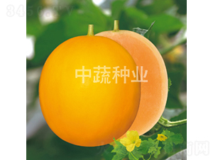 ����198-�������-������ҵ