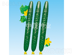 ��ũ50-�ƹ�����-������ҵ