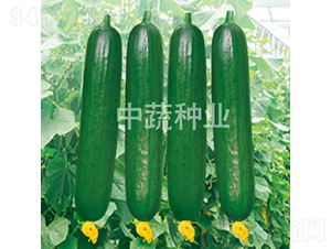 ��ũ59-�ƹ�����-������ҵ