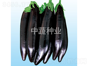����218-��������-������ҵ