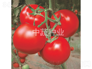 ����302-��������-������ҵ