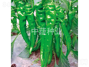 �н�����109-��������-������ҵ