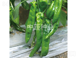 �н�0813-��������-������ҵ