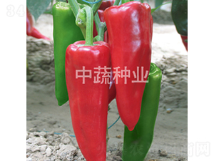 �н�106-��������-������ҵ