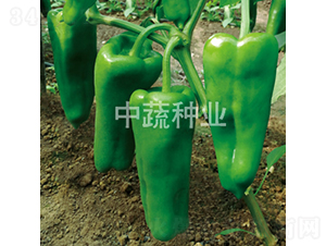 �н�306-��������-������ҵ
