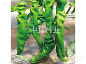 �н�509-��������-������ҵ